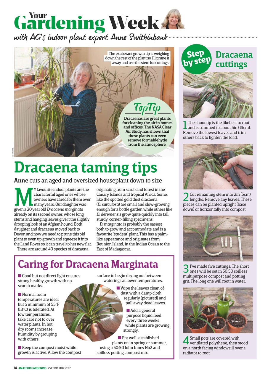 Amateur Gardening Preview Pages
