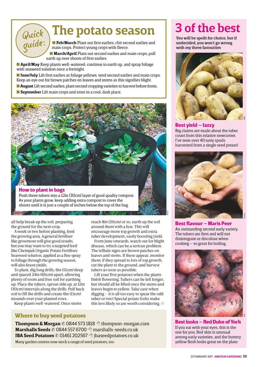 Amateur Gardening Preview Pages