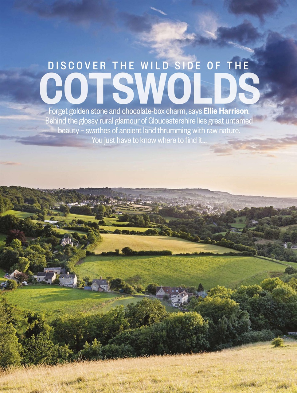 BBC Countryfile Magazine Preview Pages