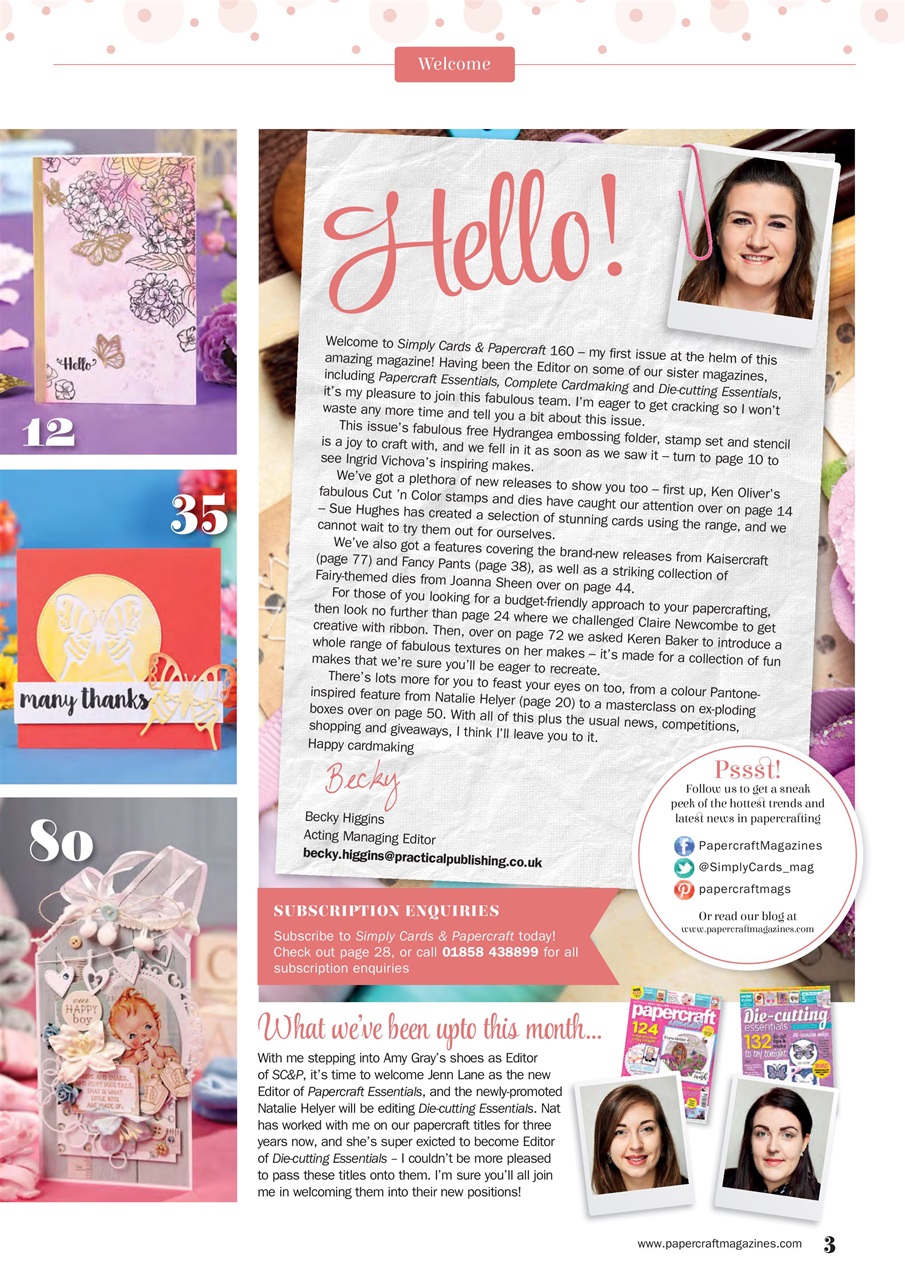 Simply Cards & Papercraft Preview Pages