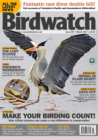 Birdwatch Magazine issue March 2017