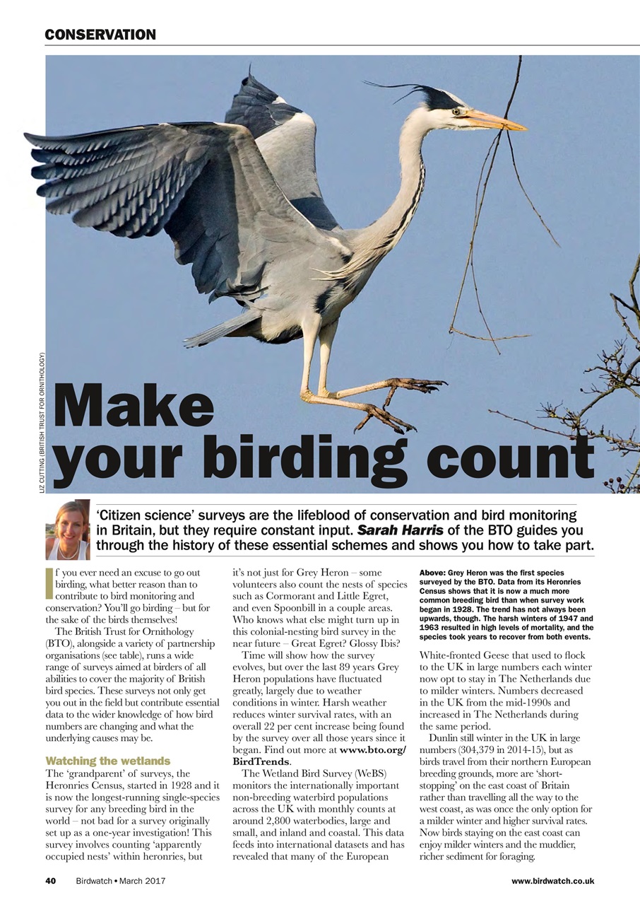 Birdwatch Magazine Preview Pages