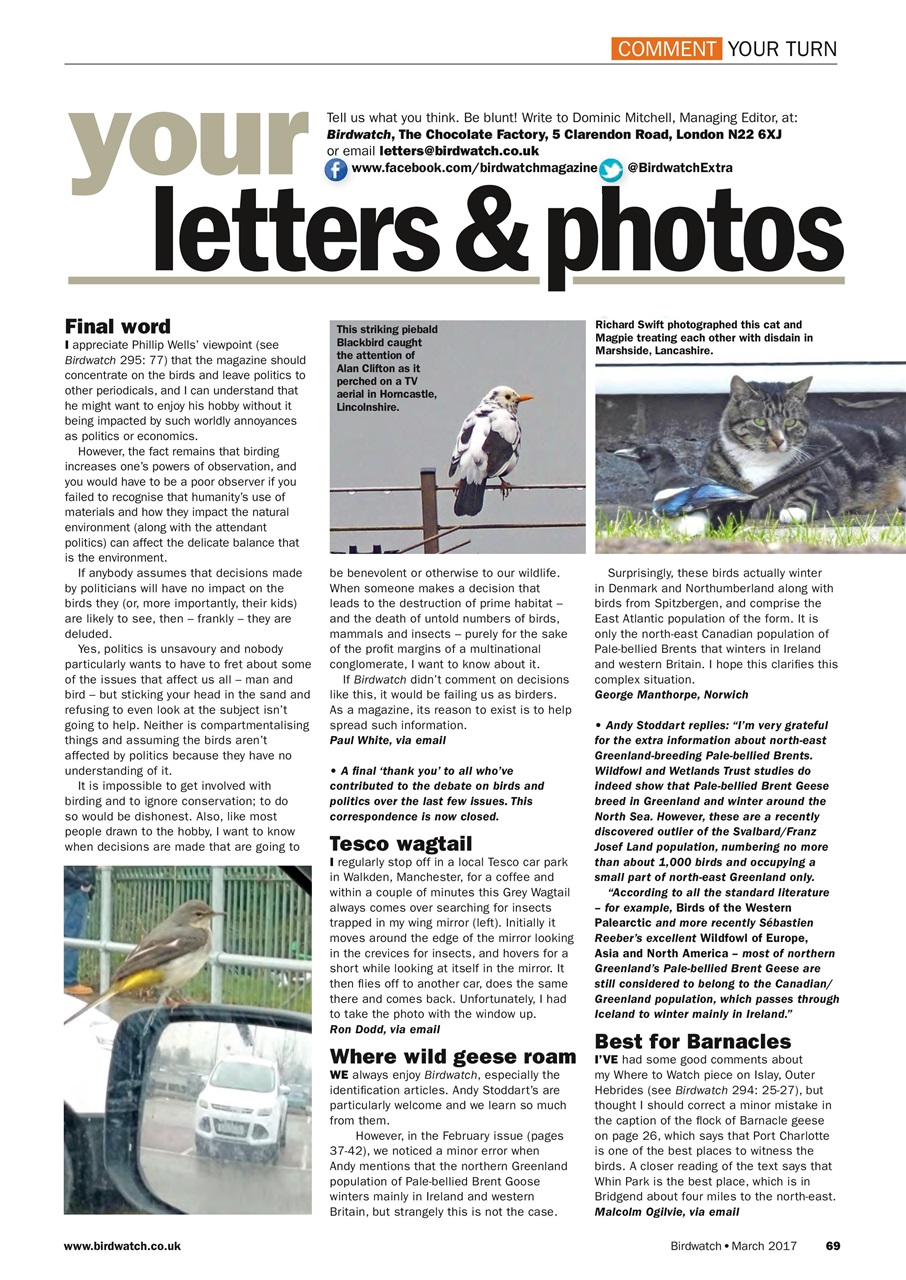 Birdwatch Magazine Preview Pages