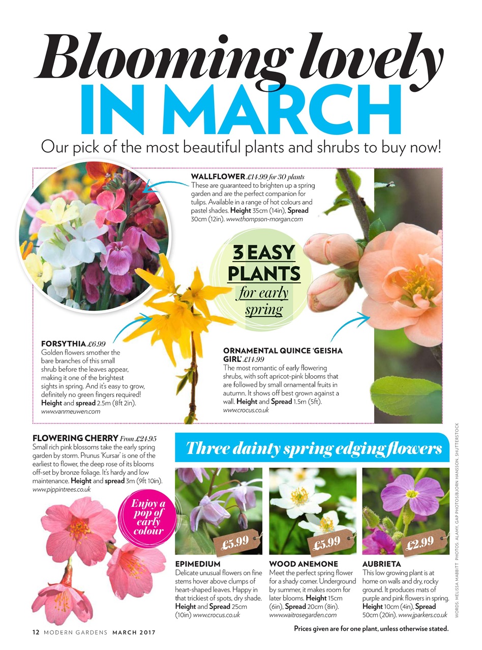 Modern Gardens Preview Pages