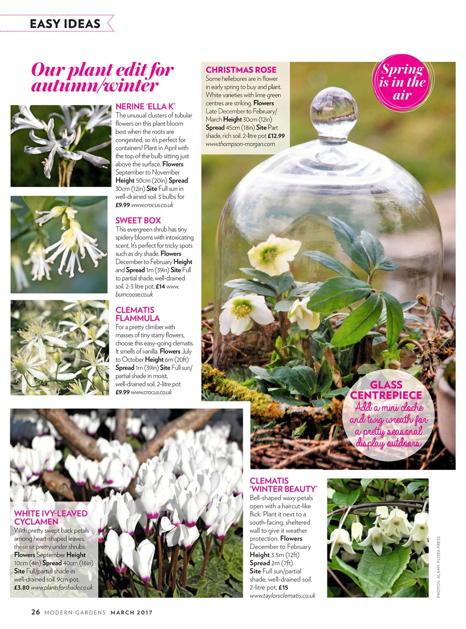 Modern Gardens Preview Pages