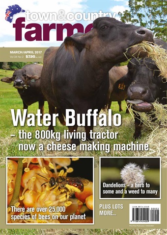 Town & Country Farmer March/April 2017 issue Town & Country Farmer March/April 2017