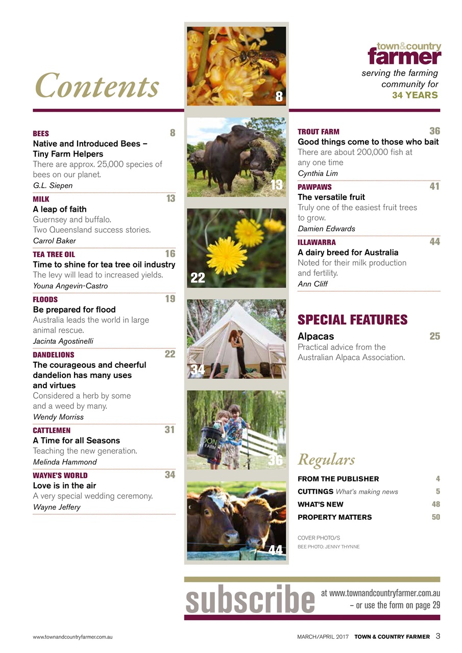Town And Country Farmer Preview Pages