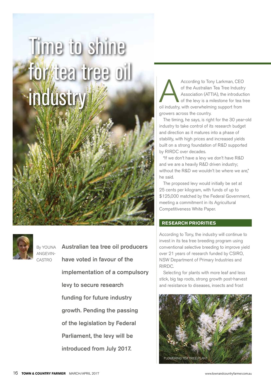 Town And Country Farmer Preview Pages