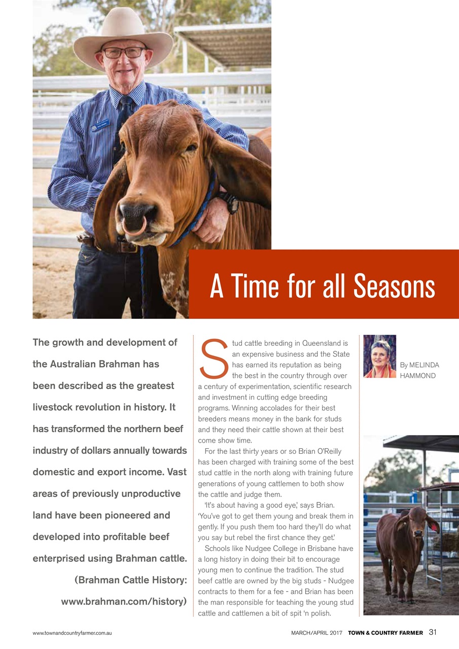 Town And Country Farmer Preview Pages
