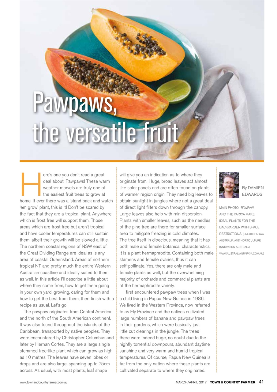 Town And Country Farmer Preview Pages