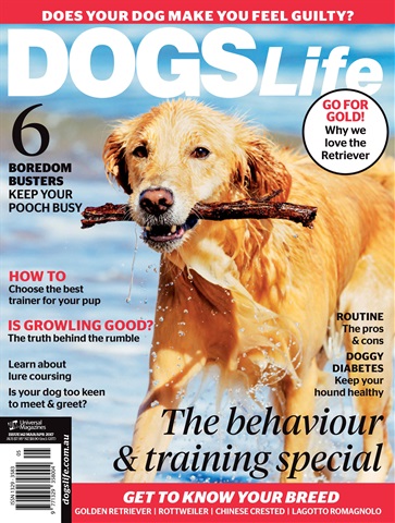 Feb Issue#142 2017 issue Feb Issue#142 2017