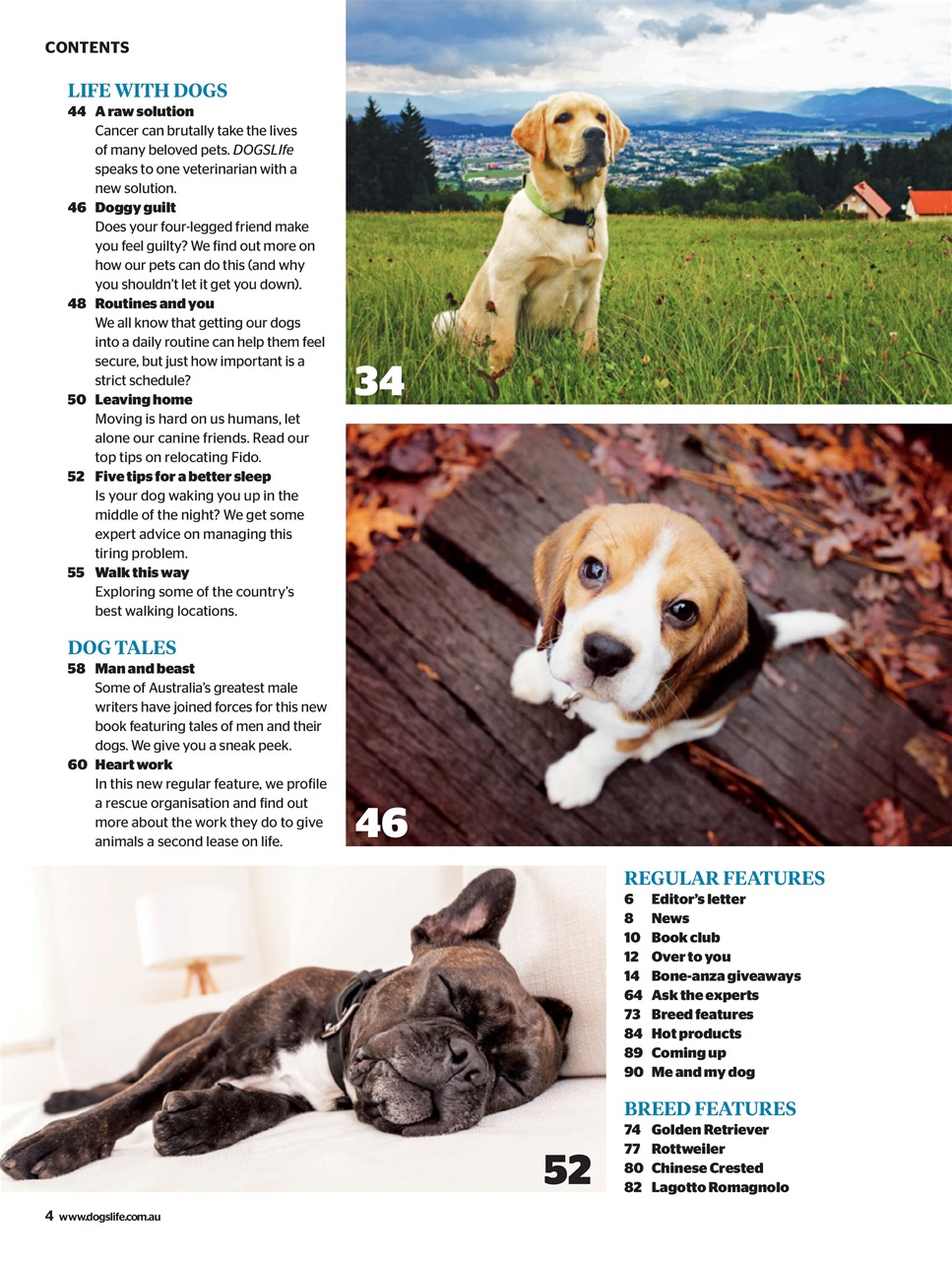 Dogs Life Preview Pages