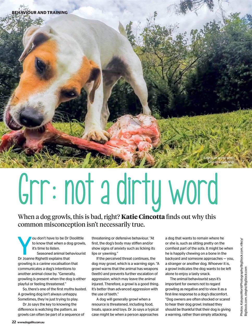 Dogs Life Preview Pages