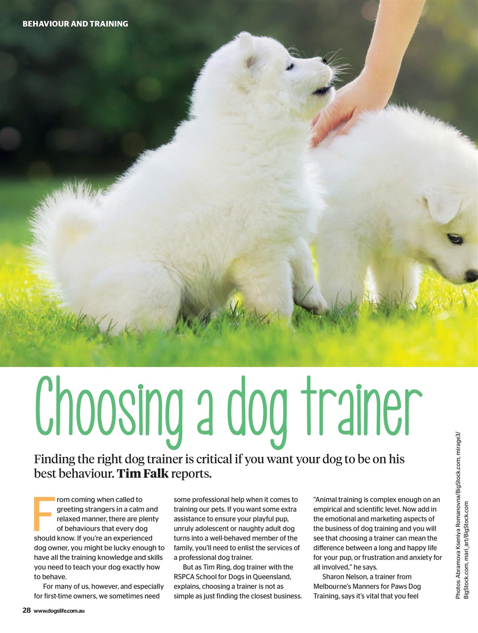 Dogs Life Preview Pages