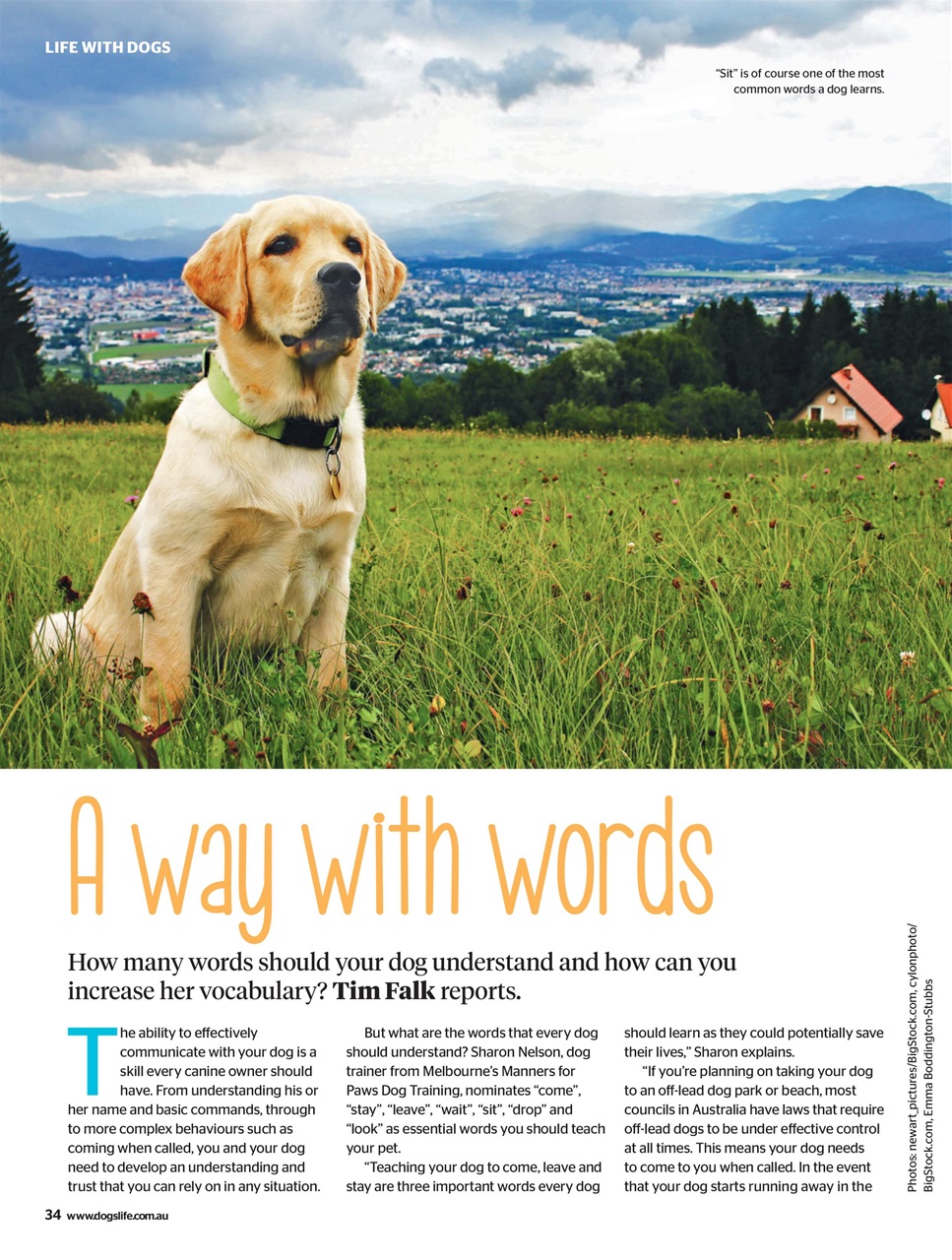 Dogs Life Preview Pages