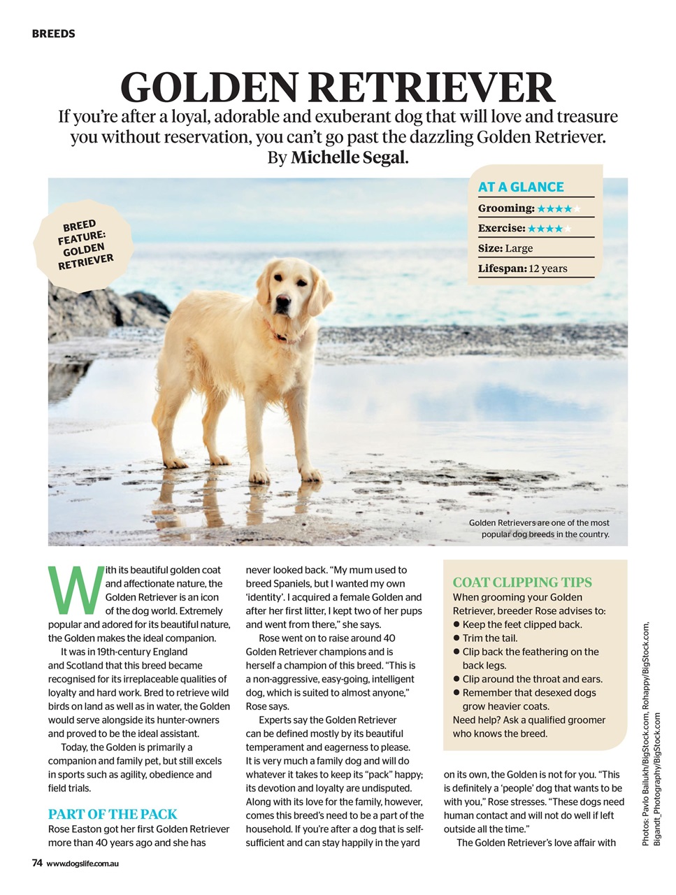 Dogs Life Preview Pages