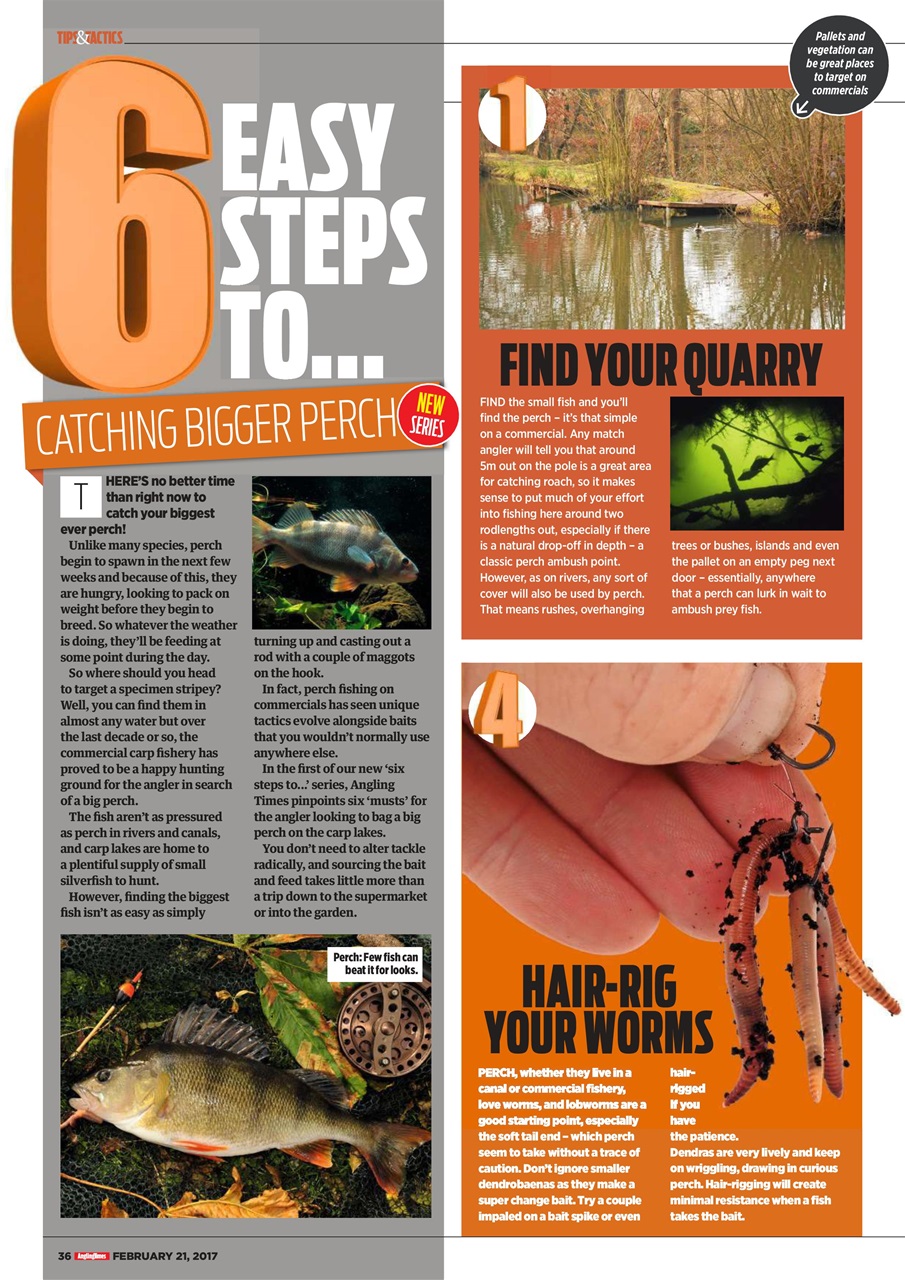 Angling Times Preview Pages