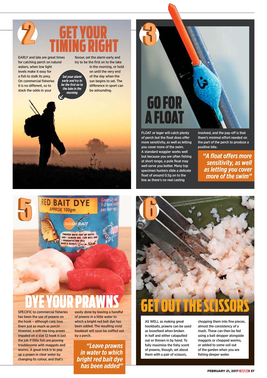 Angling Times Preview Pages