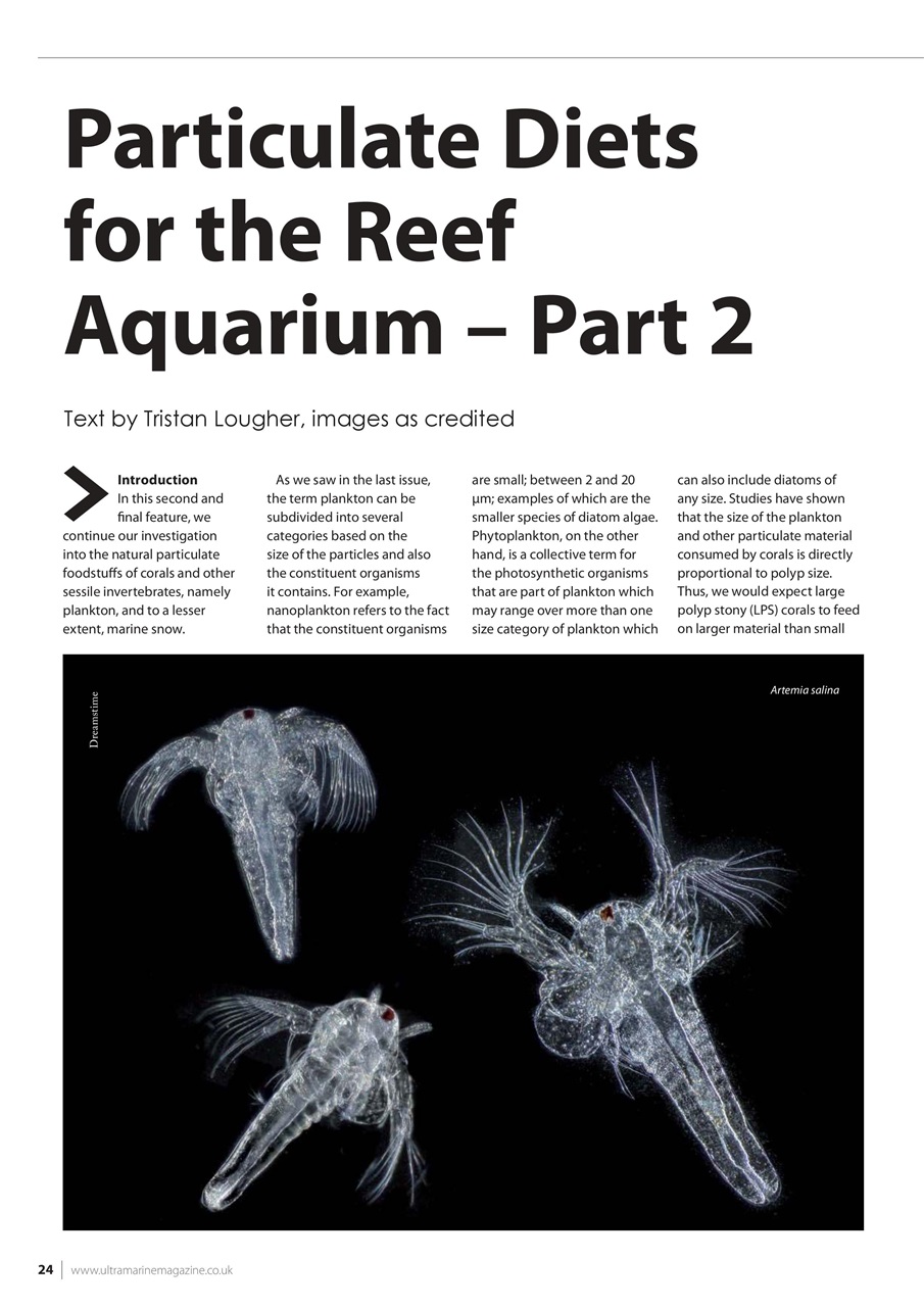 UltraMarine Magazine Preview Pages