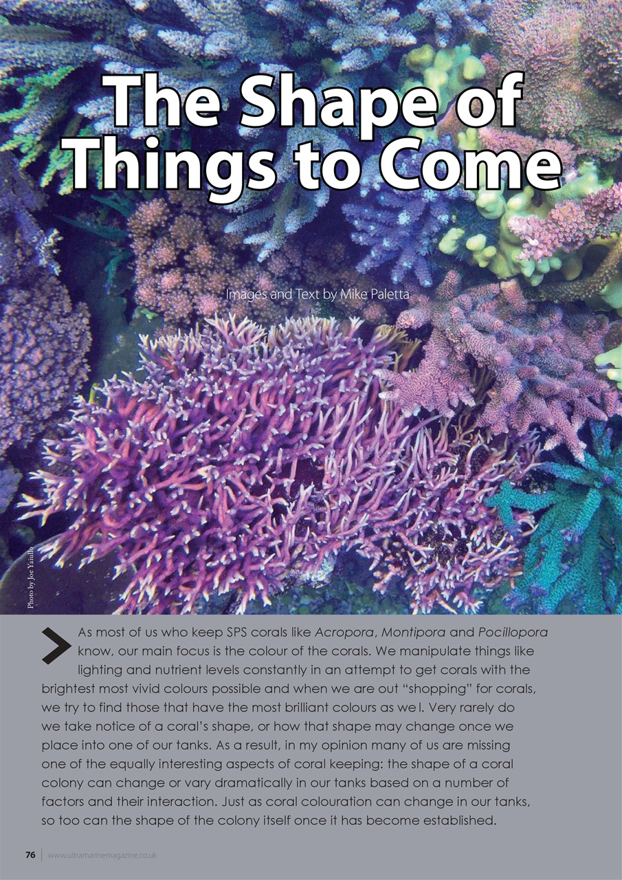 UltraMarine Magazine Preview Pages