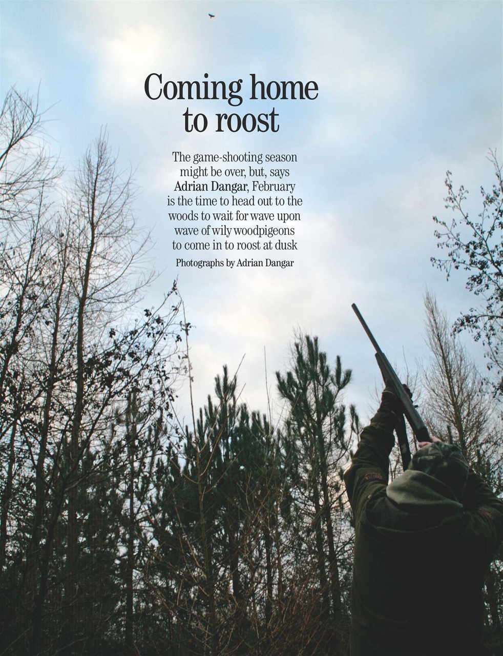 Country Life Preview Pages