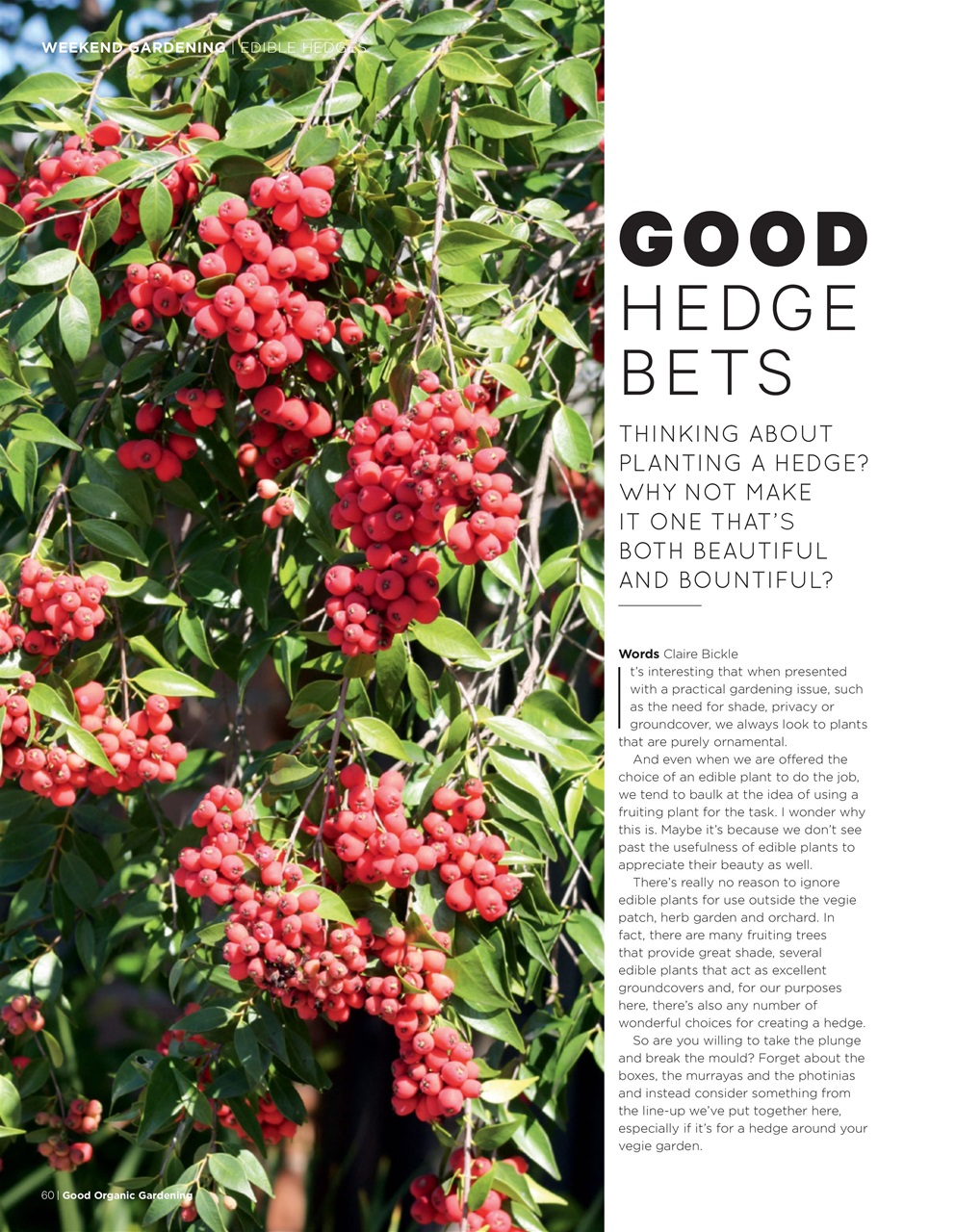 Good Organic Gardening Preview Pages