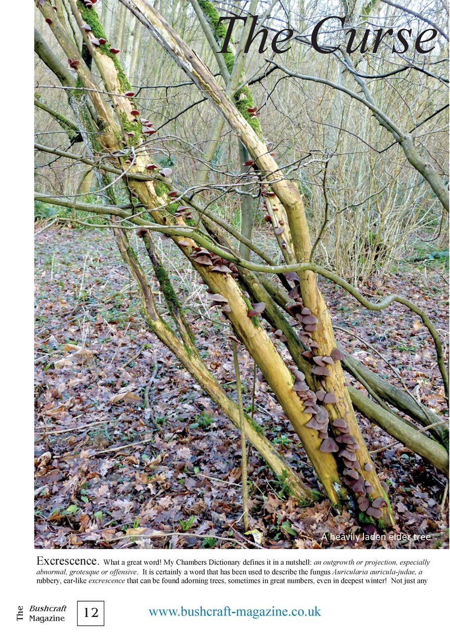 Bushcraft Magazine Preview Pages