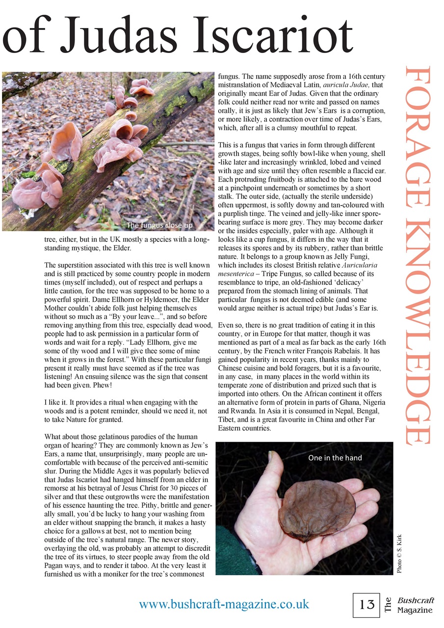 Bushcraft Magazine Preview Pages