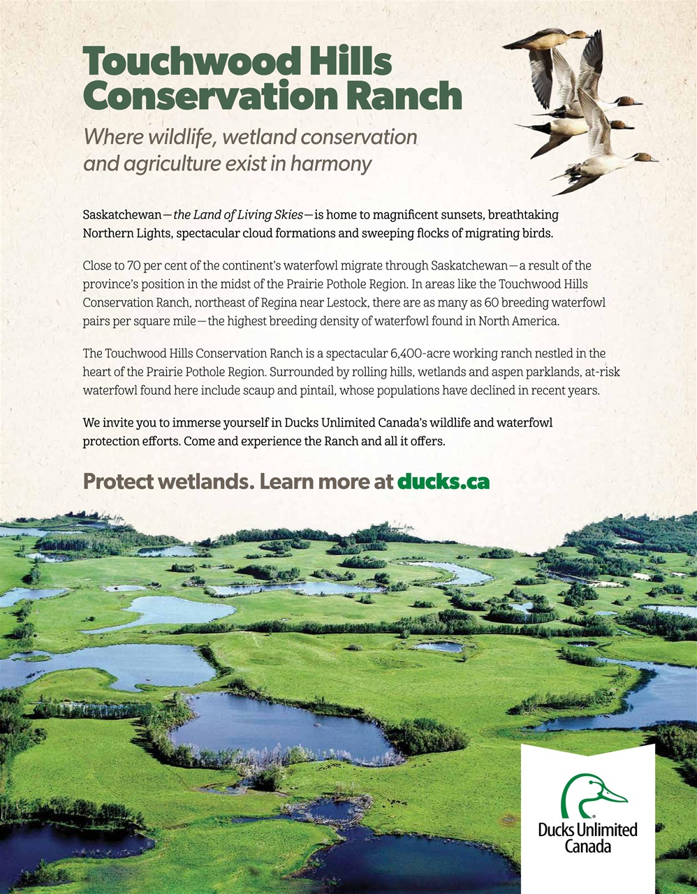 Prairies North Magazine Preview Pages