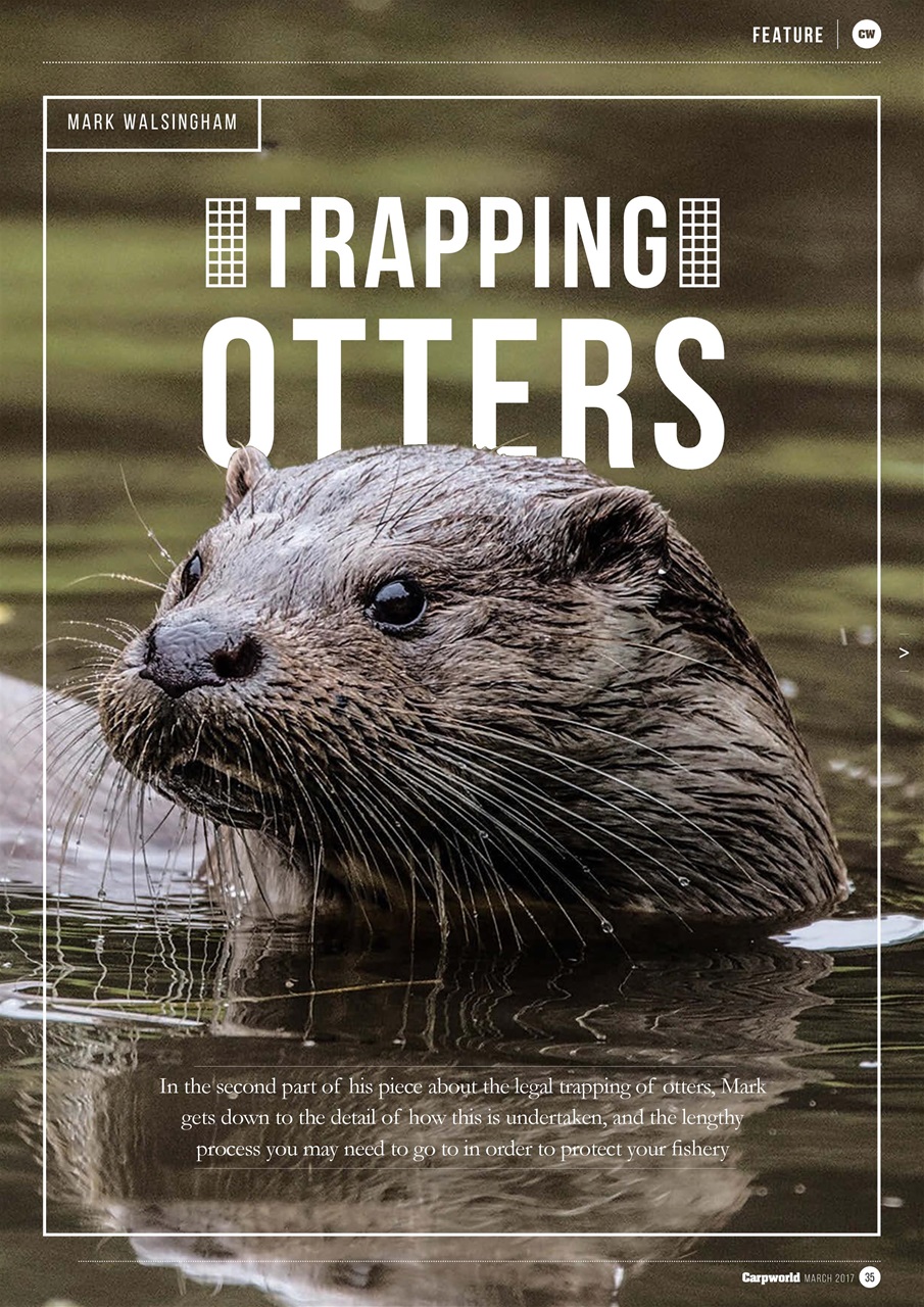 Carpworld Preview Pages