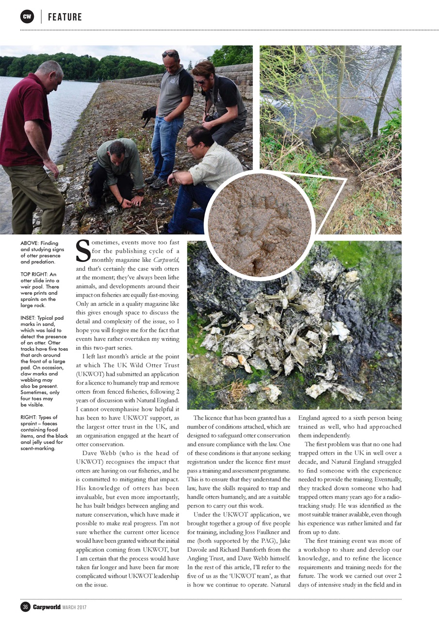 Carpworld Preview Pages