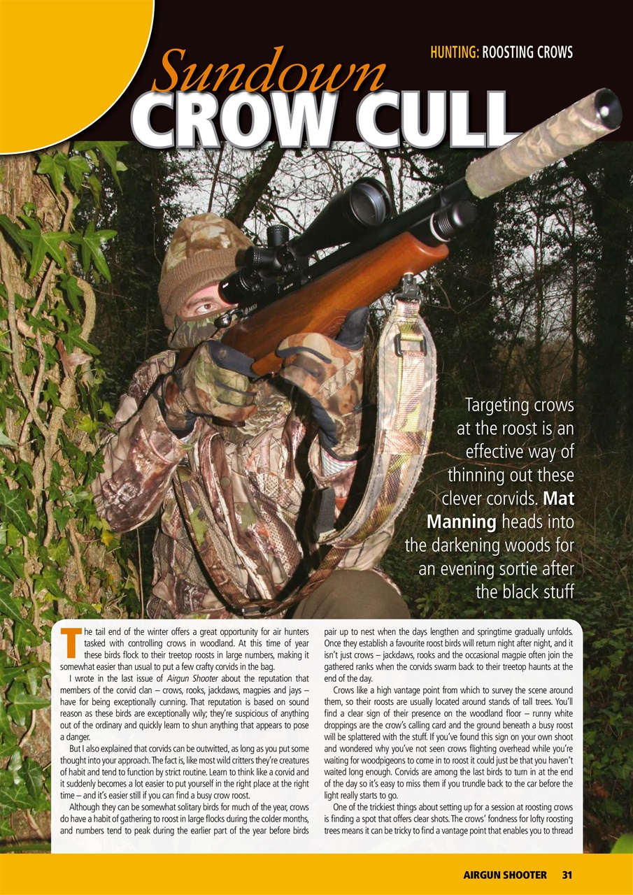 Airgun Shooter Preview Pages