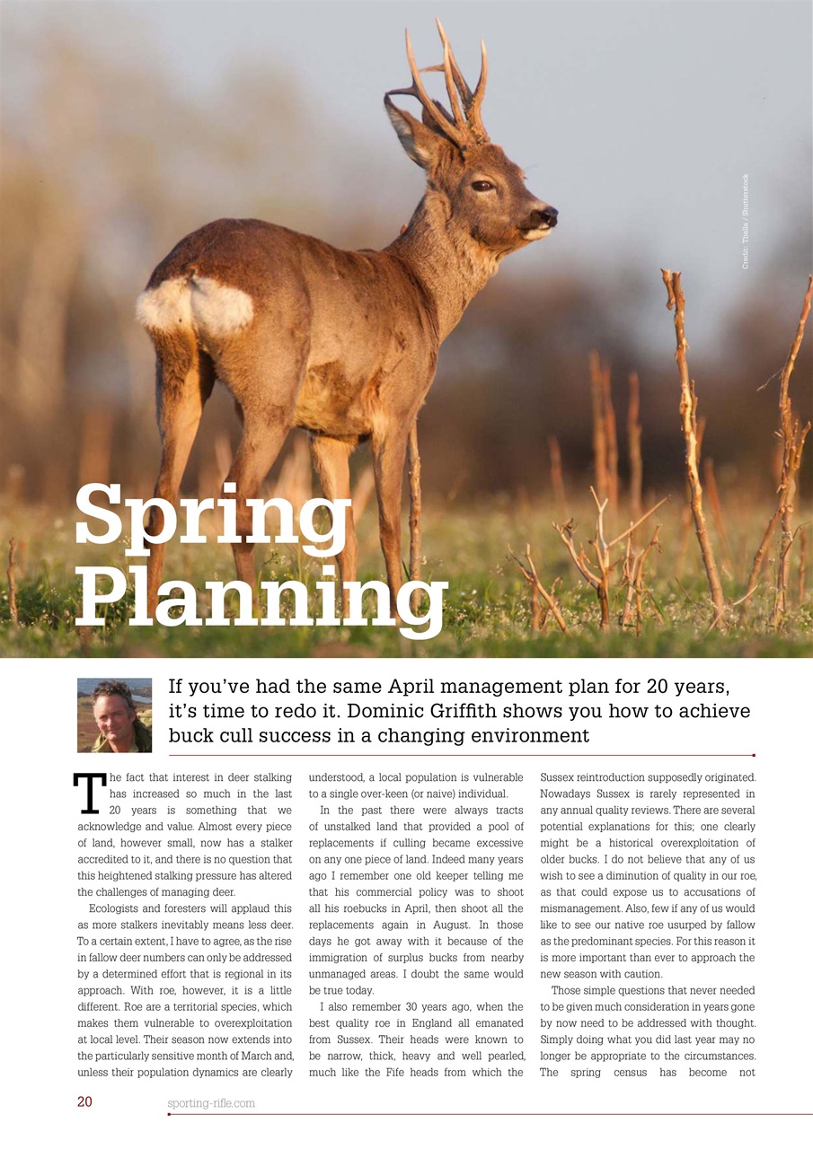 Sporting Rifle Preview Pages