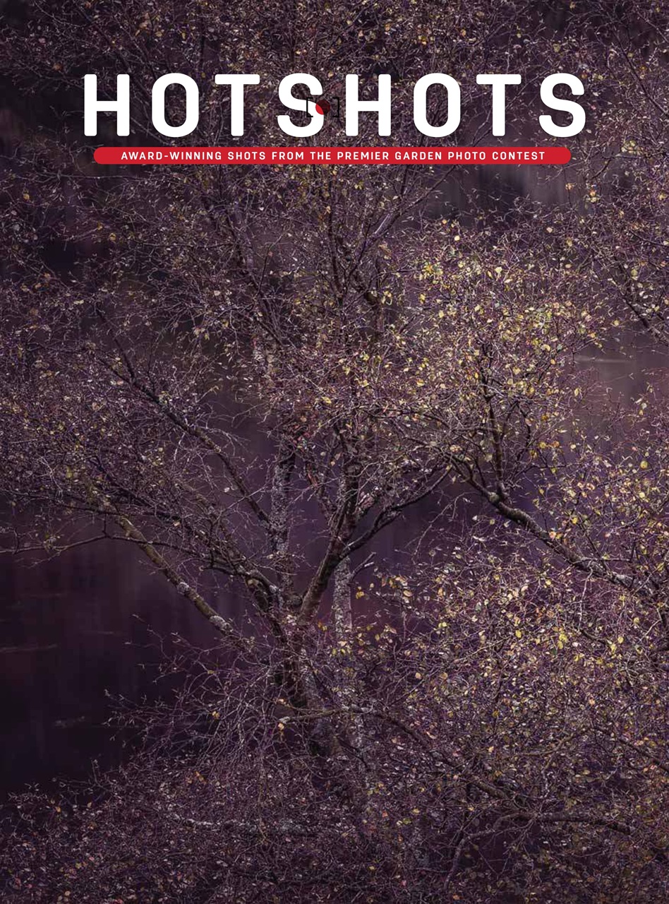 Digital Camera Magazine Preview Pages