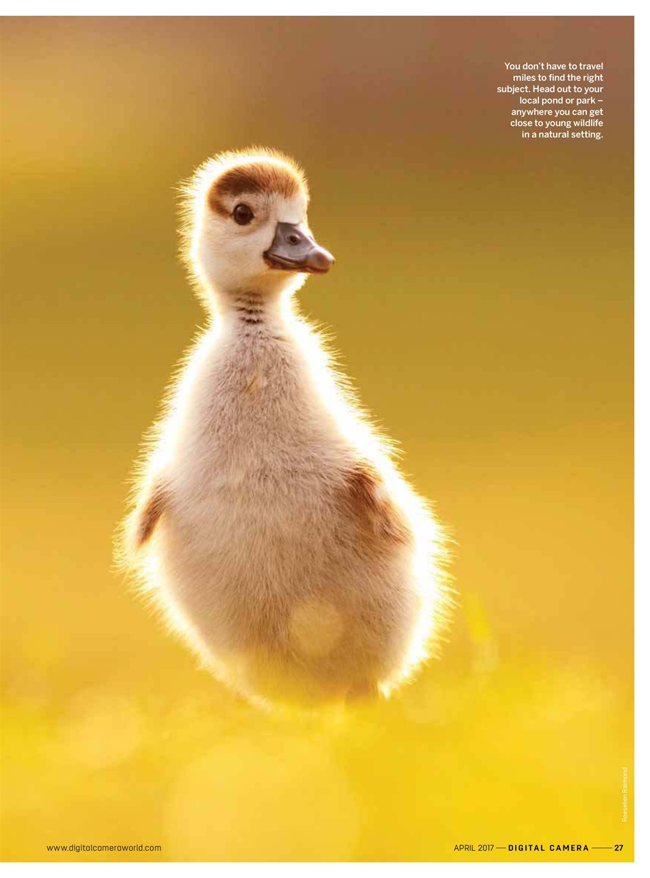 Digital Camera Magazine Preview Pages