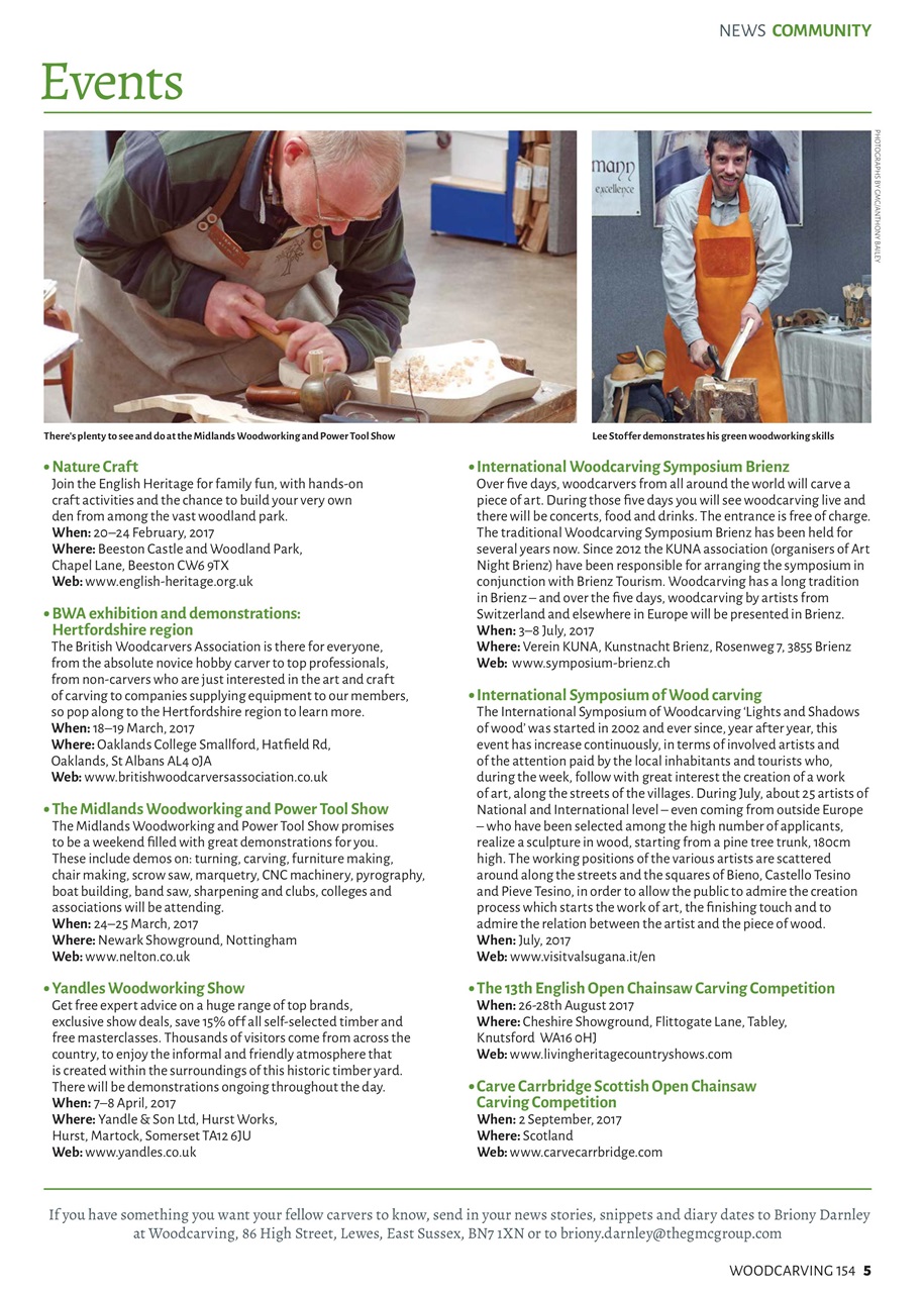 Woodcarving Preview Pages