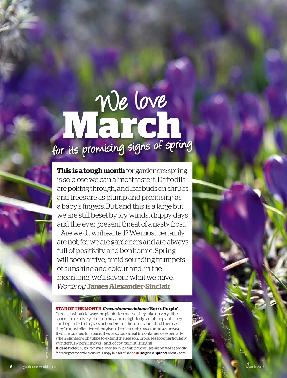 BBC Gardeners’ World Magazine Preview Pages