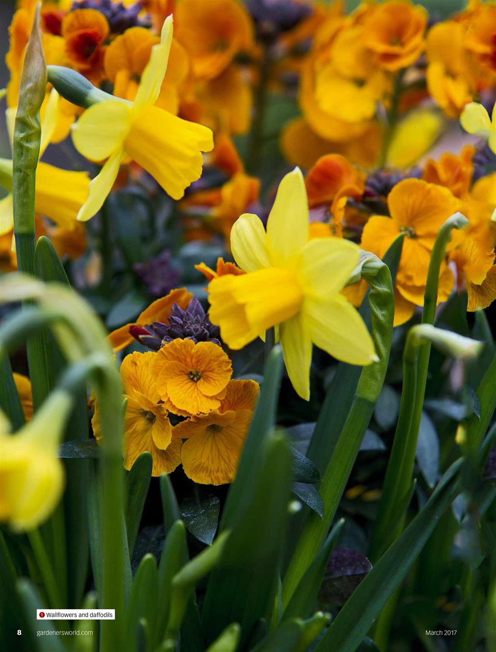 BBC Gardeners’ World Magazine Preview Pages