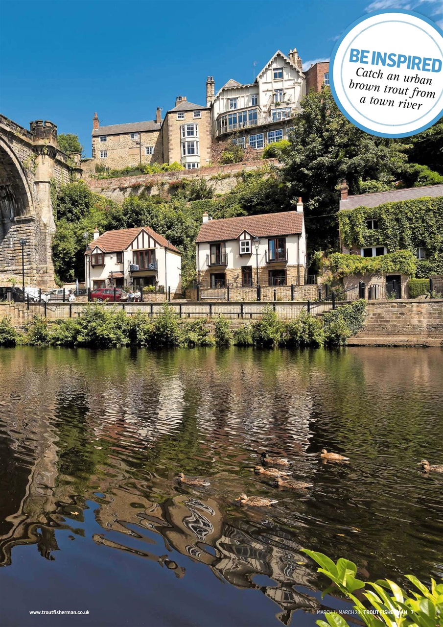 Trout Fisherman Preview Pages