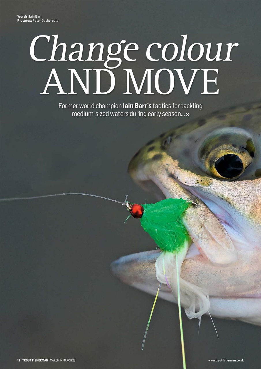 Trout Fisherman Preview Pages