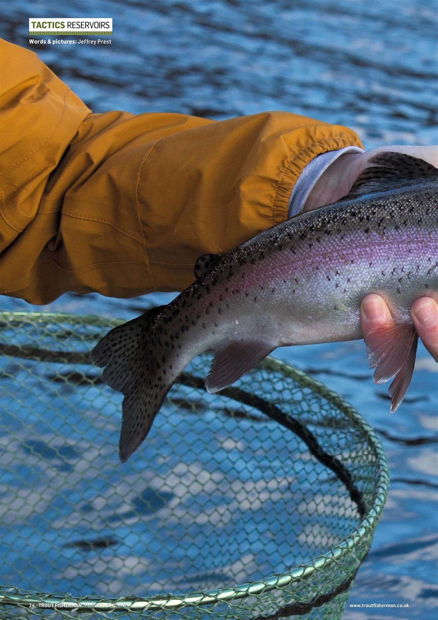 Trout Fisherman Preview Pages