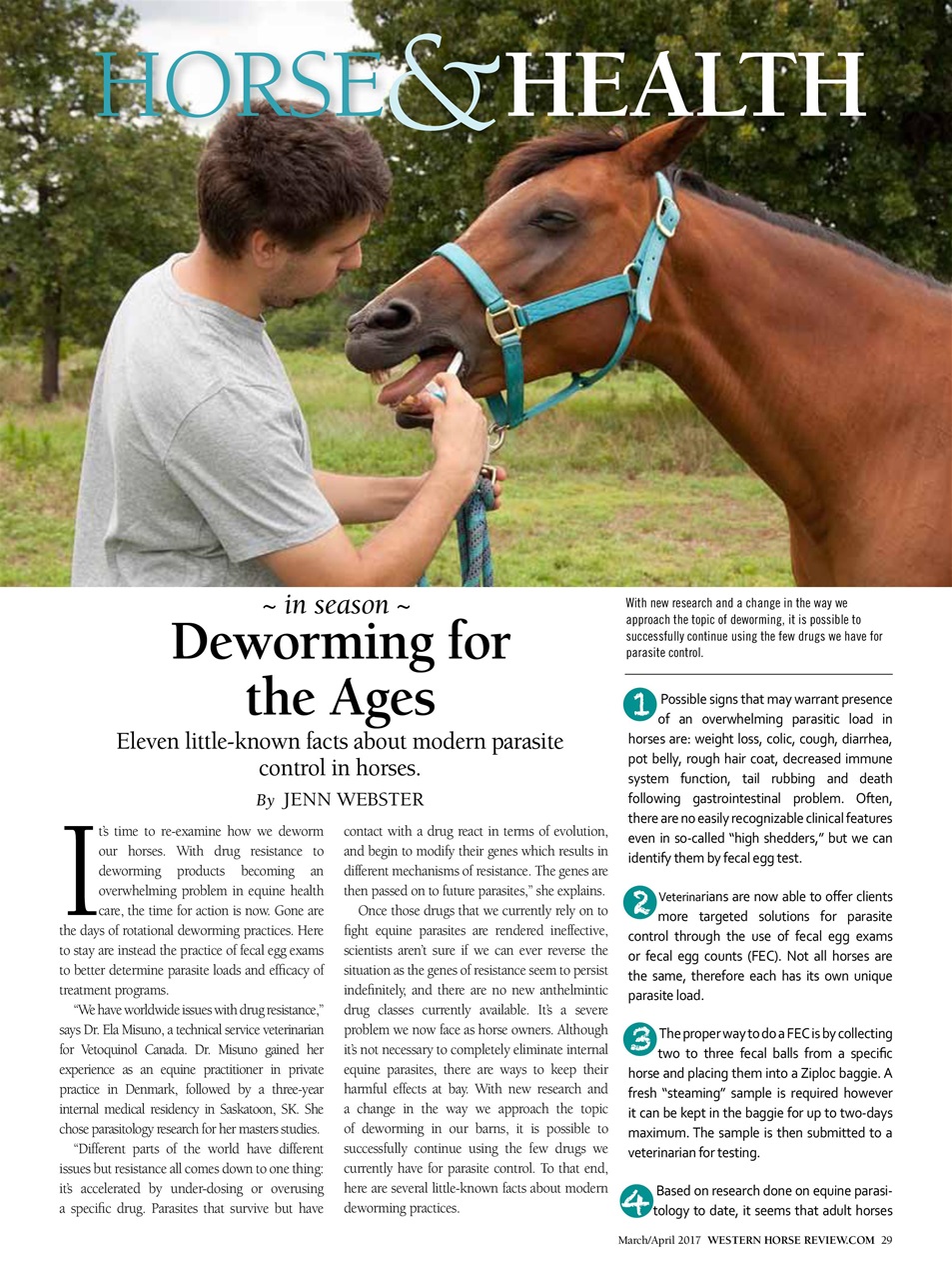 Western Horse Review Preview Pages