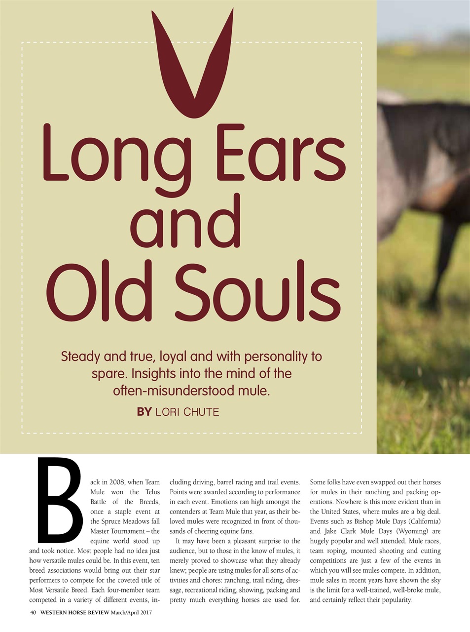 Western Horse Review Preview Pages