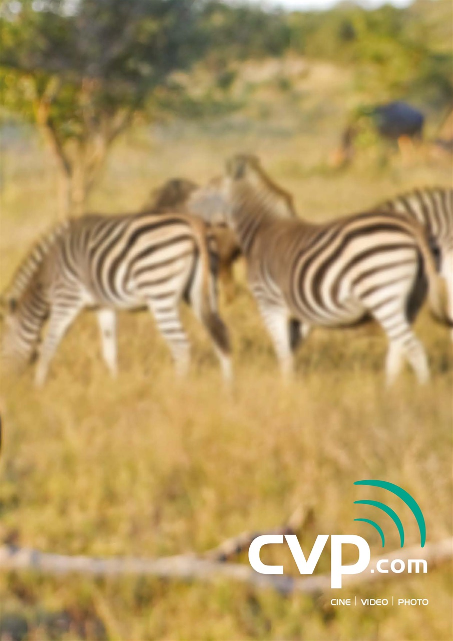 National Geographic Traveller UK Preview Pages