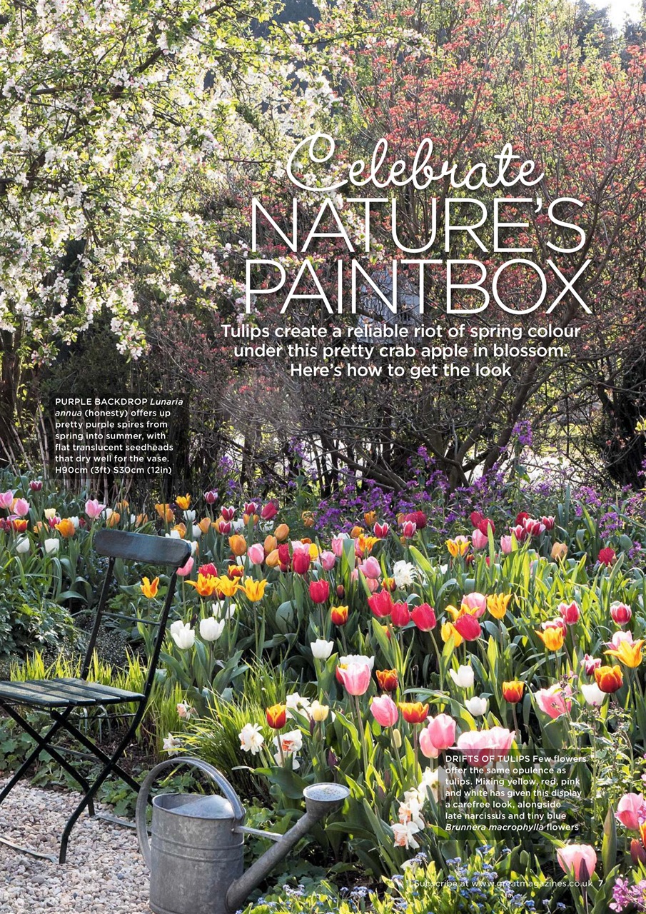 Garden Answers Preview Pages