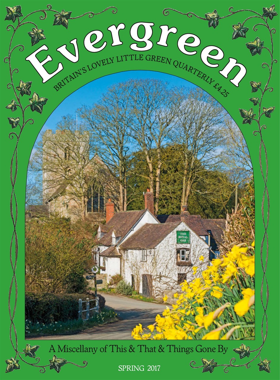 Evergreen Preview Pages