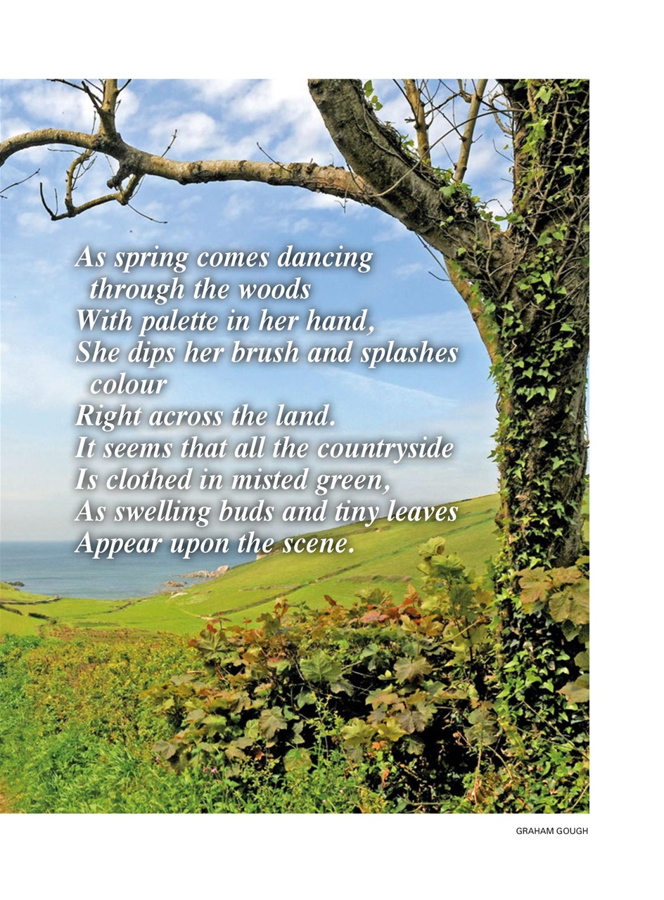 Evergreen Preview Pages