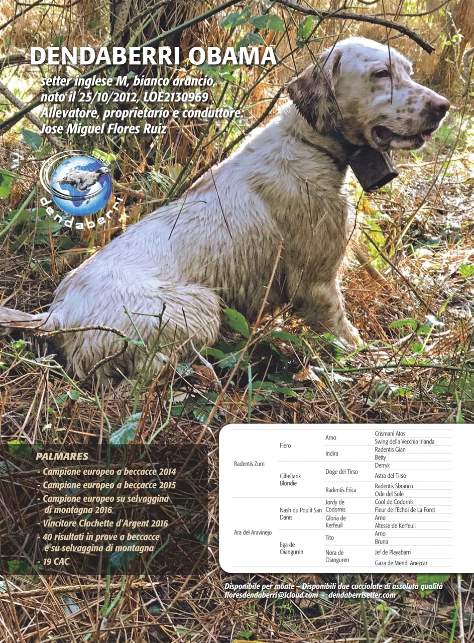 La Gazzetta Della Cinofilia Venatoria Preview Pages