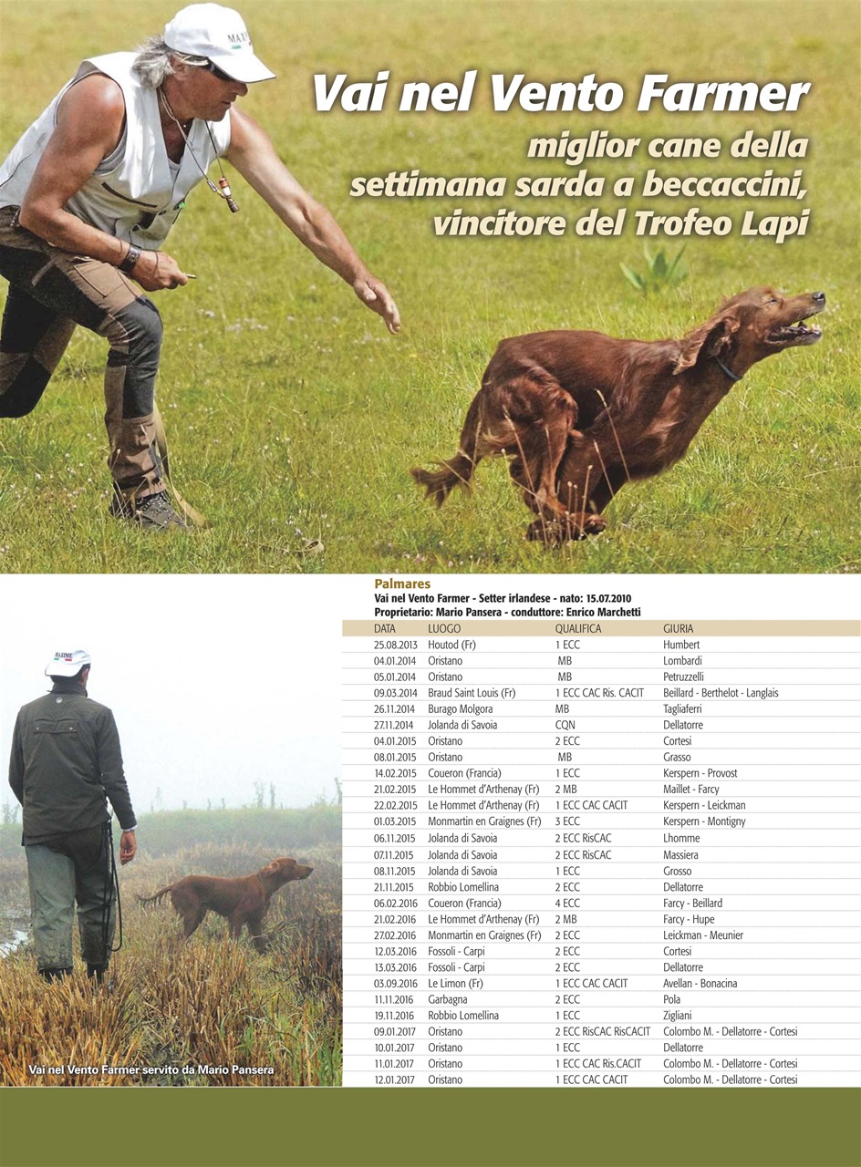 La Gazzetta Della Cinofilia Venatoria Preview Pages