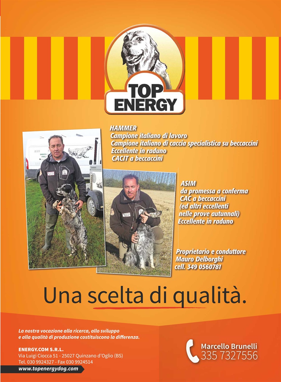 La Gazzetta Della Cinofilia Venatoria Preview Pages